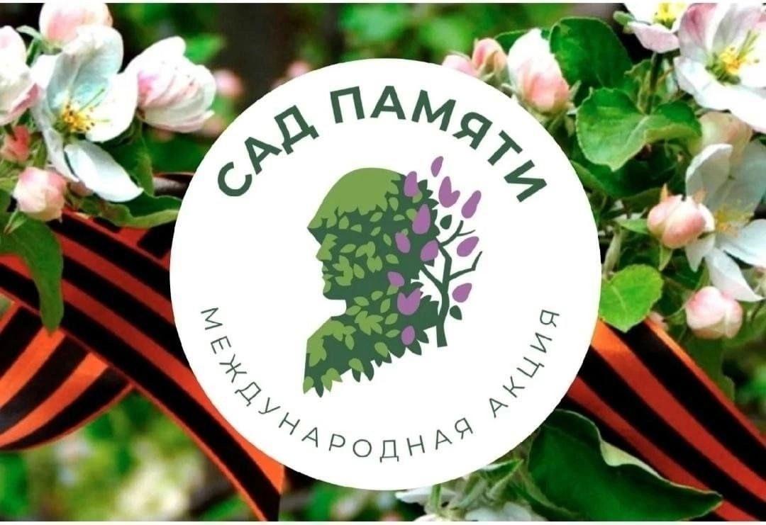 Снежнянцы продолжают участвовать в Международной акции «Сад памяти».