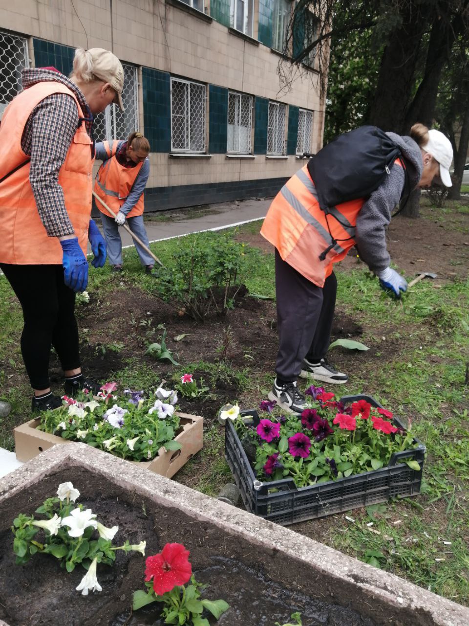 Коммунальщики Снежного продолжают благоустраивать территории общего пользования.