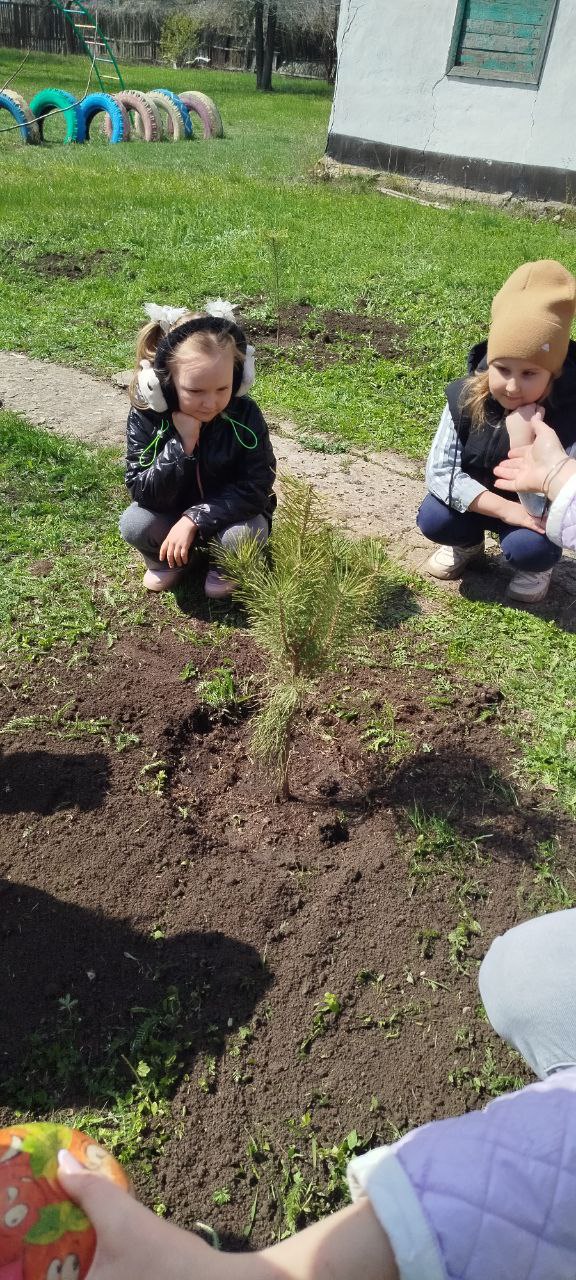 Снежное и Самара совместно озеленяют округ.