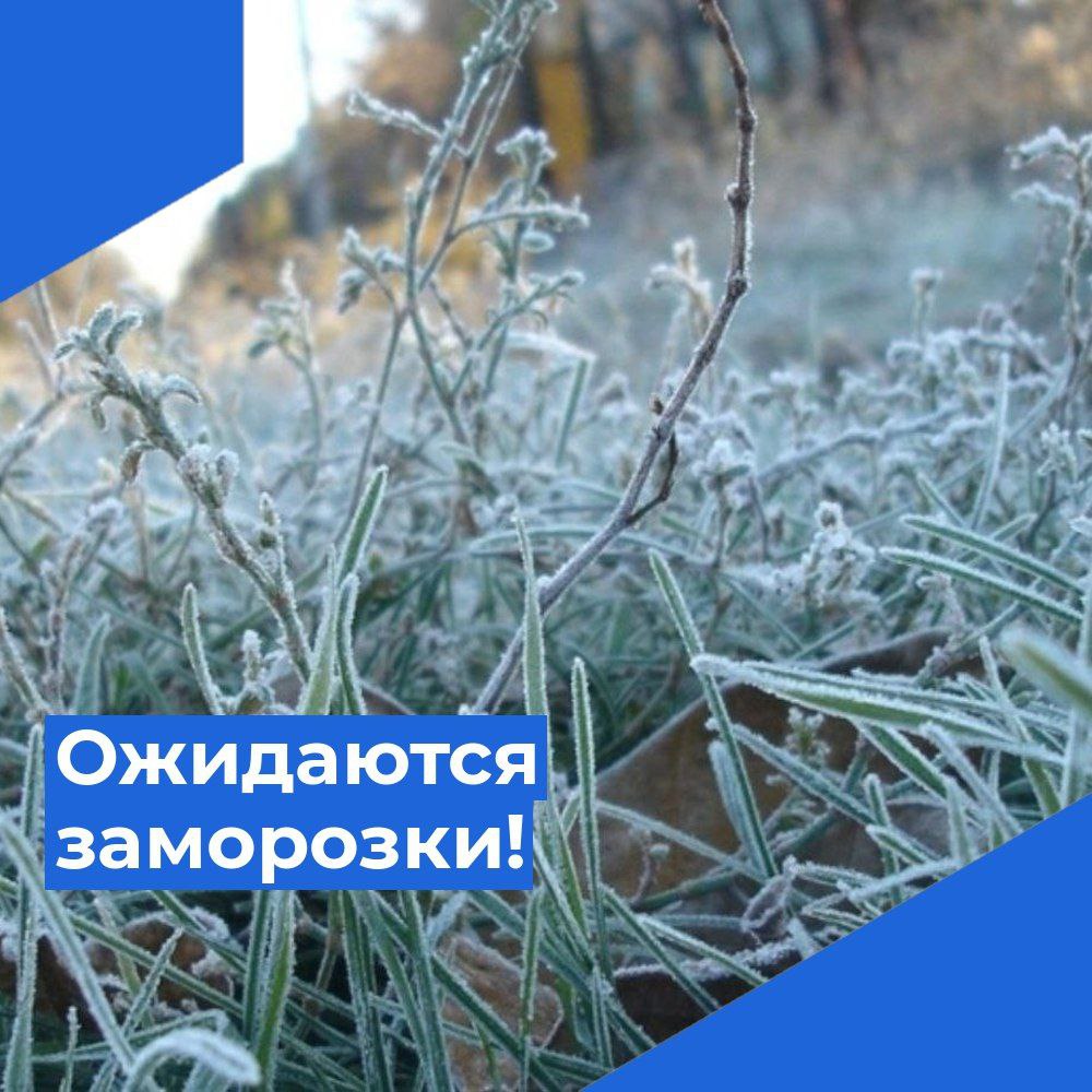 ЭКСТРЕННОЕ ПРЕДУПРЕЖДЕНИЕ.