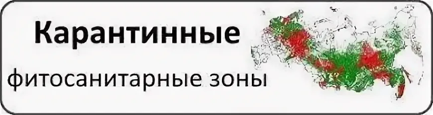 Администрация городского округа Снежное информирует.