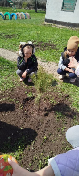 Снежное и Самара совместно озеленяют округ. Снежное и Самара совместно озеленяют округ.
