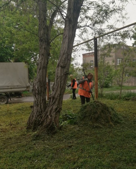 Коммунальщики Снежного продолжают благоустраивать территории общего пользования. Коммунальщики Снежного продолжают благоустраивать территории общего пользования.