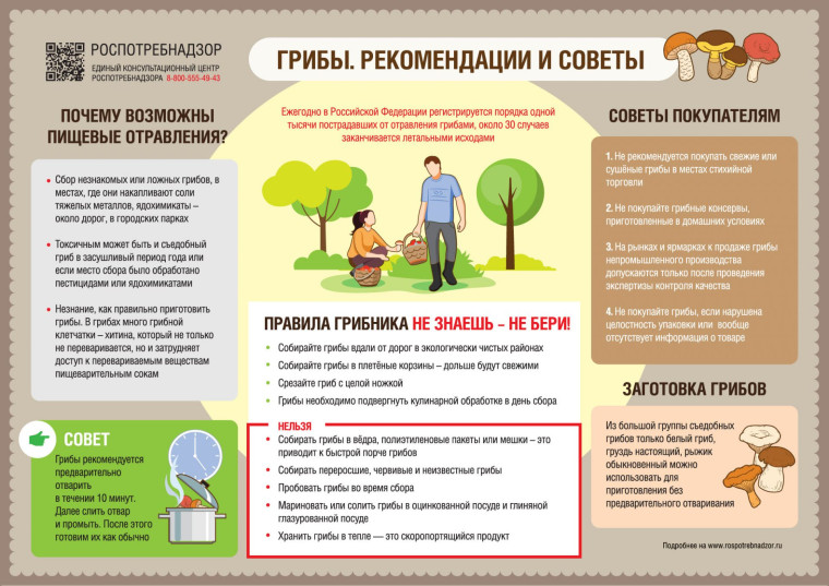 О рекомендациях, как выбирать и готовить грибы. О рекомендациях, как выбирать и готовить грибы.