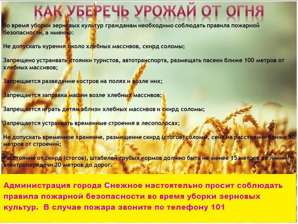 Сектор ГОиЧС напоминает!. Сектор ГОиЧС напоминает!.
