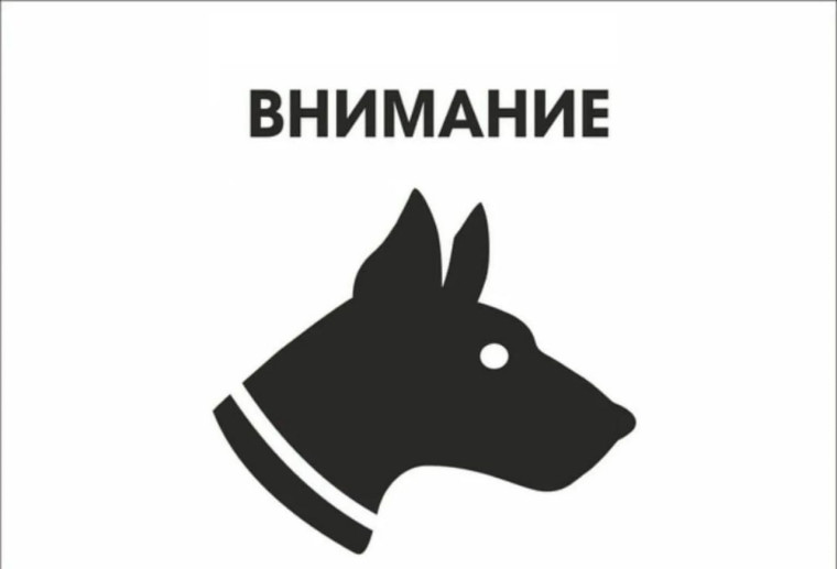 Информация по бродячим животным. Информация по бродячим животным.